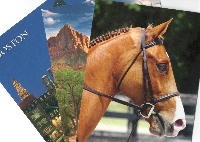 PH: Postcards - 3 Specific Types #3