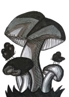 Hd/Hp Mushroom/Toadstool with a Butterfly ATC Swap