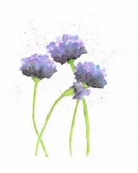 Watercolor Painting - Flower