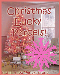 Christmas Lucky Parcel