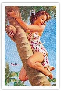 SUSA - Tropical Pin Up Girl Rolo