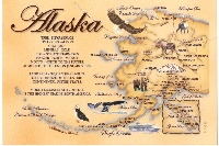 Naked U.S. State Map Postcard #5