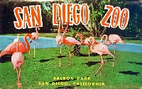NH: Zoo postcard