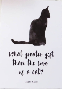 Cat-Themed Postcard