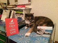 CF: Keep Calm & Love Our Cats