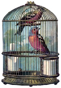 MFF- Vintage Birdcage
