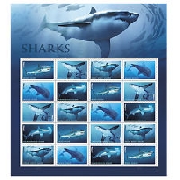 Shark Stamp Handmade Post Card
