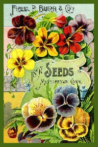 VJP: Vintage Seed Packet/Seed Catalog Cover