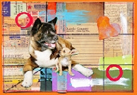 EJ: National Dog Day postcard