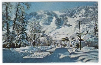 P&M Snow Postcard