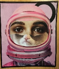 CC: 3 Piece Collage Portrait Postcard