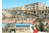 PH: Send 3 Postcards #5