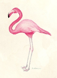 SUSA - Flamingo Christmas ATC