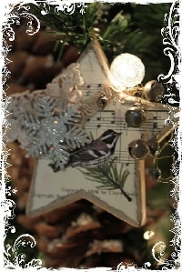 MFF: Christmas Star Bird Ornament