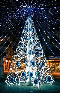 ALP - Christmas Trees Around The World