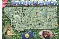Naked U.S. State Map Postcard #7