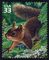 Squirrel Appreciation Day Happy Mail