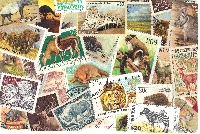 WIYM: Postcard Covered in Postage Stamps