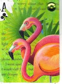 AMA: APC Bird Series-Flamingo