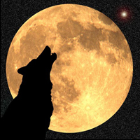)0( ~ January Wolf Moon