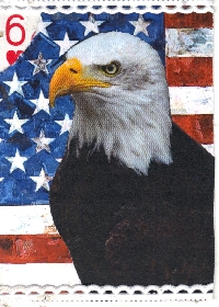 AMA: APC Bird Series-Eagle