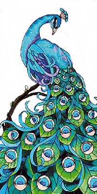 MFF:  Peacock with Jeweled Plumage ATC