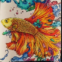 C.I. ~ Coloring In An ATC