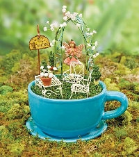 TSJ: Mini Fairy Garden