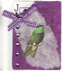 AMA: APC Bird Series-Hummingbird