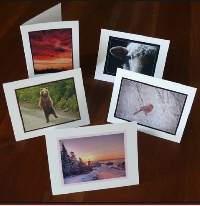 SS Photo Greeting Cards