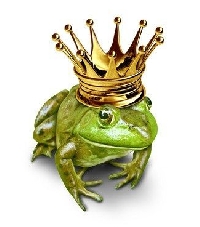 WIYM: APC Animal Series-Frog