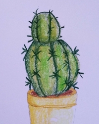 Succulent/cacti botanical swap
