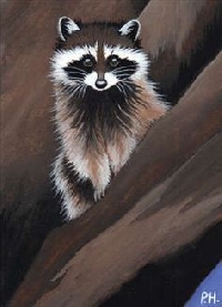 AACG:  Woodland Critters: Raccoon ATC