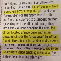 Police Log- Newspaper/online clipping