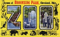 WPS - Zoo/Aquarium Postcard #2