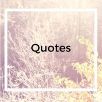 ESG:  Favorite Quotes