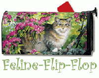 Feline Flip-Flop: JUNE