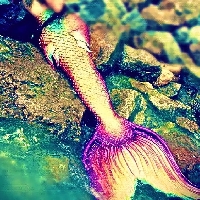 Mermaid Tails Pinterest swap