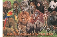 PH: Zoo or Zoo Animals