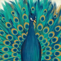 Bird ATC: Peacock