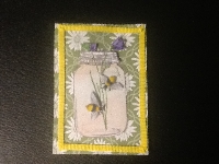 Monthly ATCs: Summer Insects