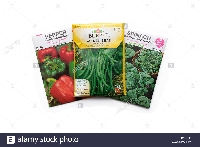 Vegetable Seed Swap