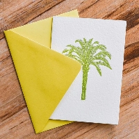 QUICK! 5 note cards from your STASH!
