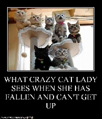 KKL Crazy Cat 🐈lady Postcard 2