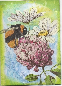 MAS: Pollinators