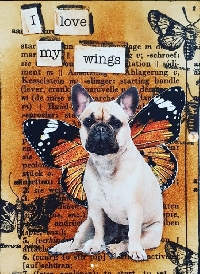 CC: Animal with wings