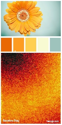 EASU: Color Theory - Autumn