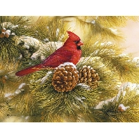 Bird theme Christmas Cards