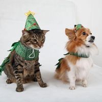 APP: Christmas Card to our Pet