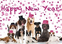 CS ~ New Year; New Doggie Deco 